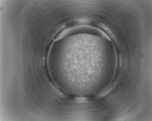 X0000087590269200705041516