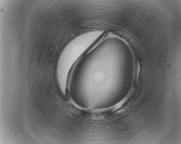 X0000087590270200705041516