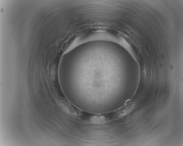 X0000087590271200705041516