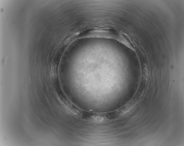 X0000087590272200705041516