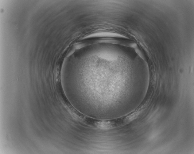 X0000087590273200705041516