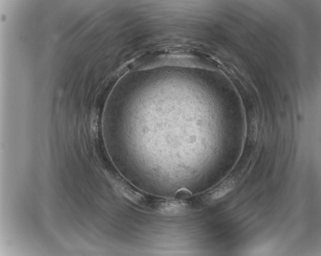 X0000087590274200705041516