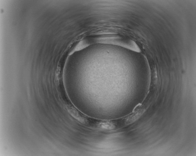 X0000087590275200705041516