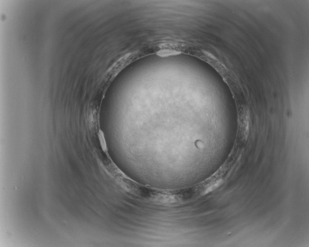 X0000087590276200705041516