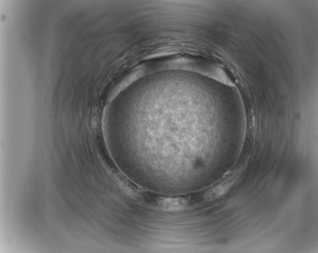 X0000087590277200705041516