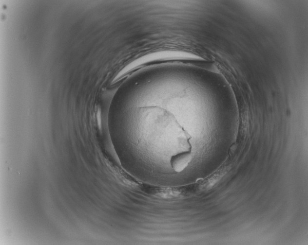 X0000087590278200705041516