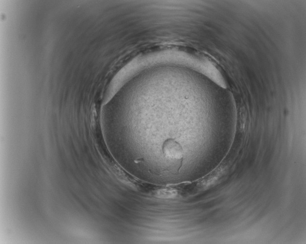 X0000087590279200705041516