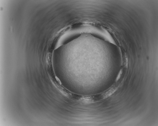 X0000087590280200705041516