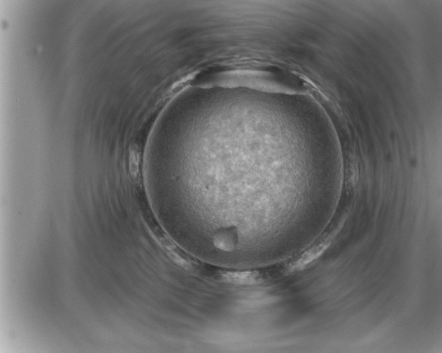 X0000087590281200705041516