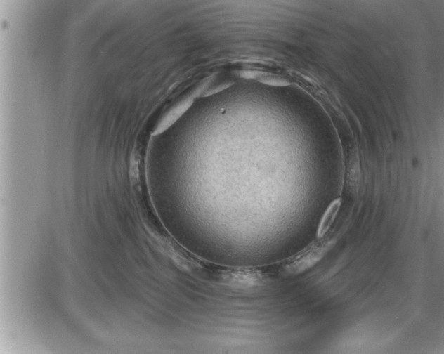 X0000087590282200705041516