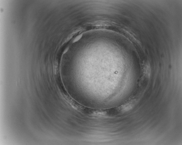 X0000087590283200705041517