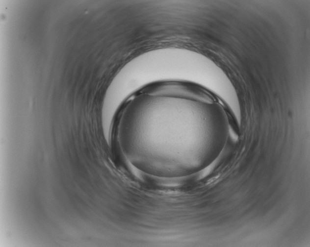 X0000087590284200705041517