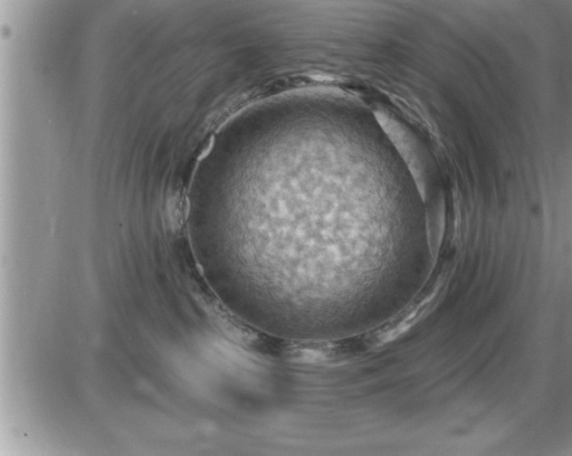 X0000087590285200705041517