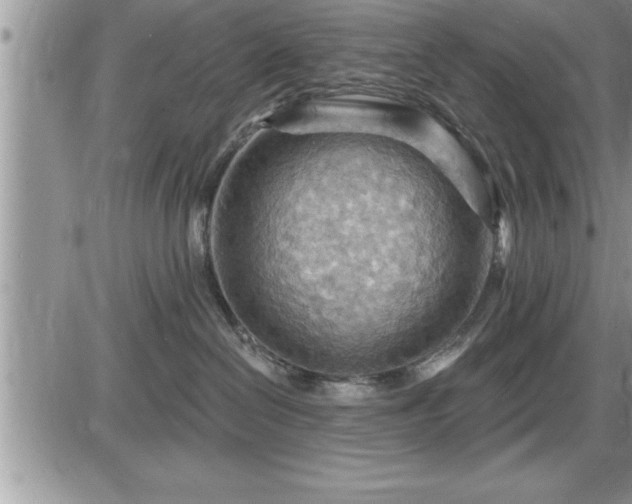 X0000087590286200705041517