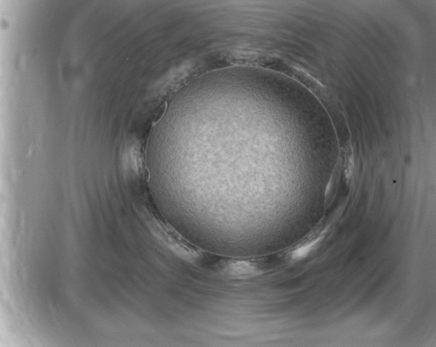 X0000087590287200705041517