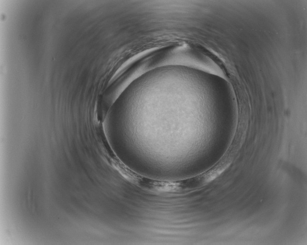 X0000087590288200705041517