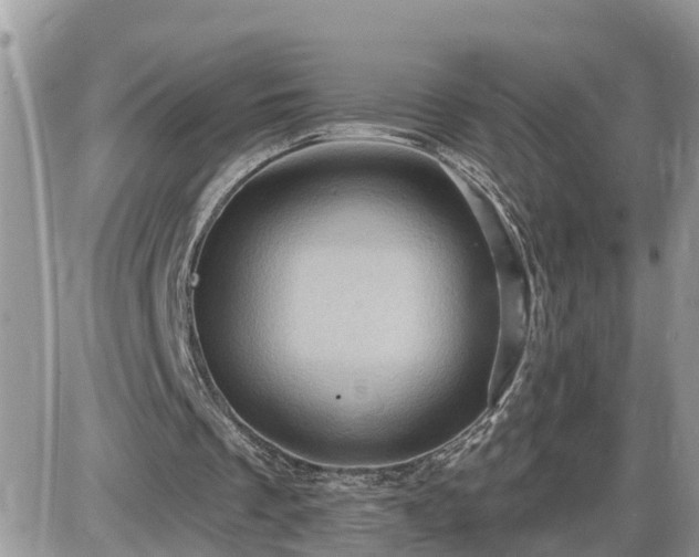 X0000087590289200705041516