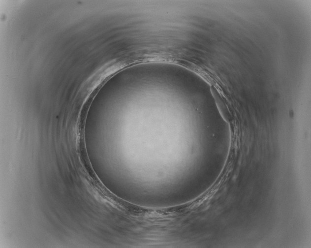 X0000087590290200705041516