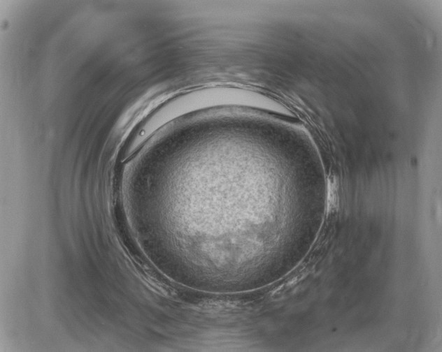 X0000087590291200705041516