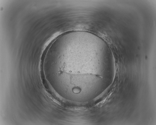 X0000087590292200705041516