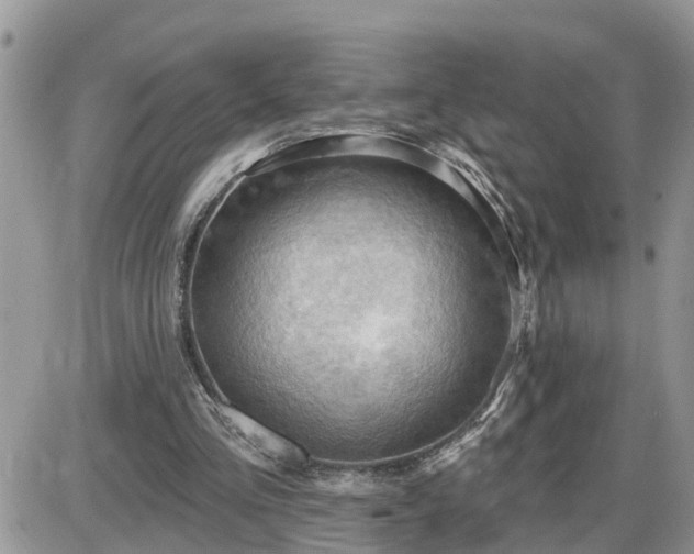 X0000087590293200705041516