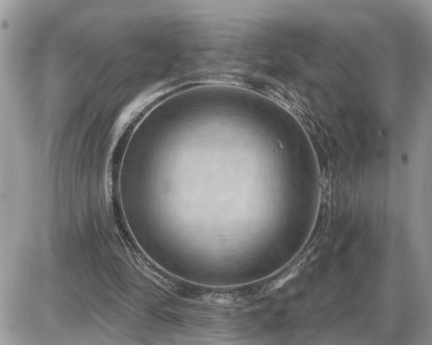 X0000087590294200705041516