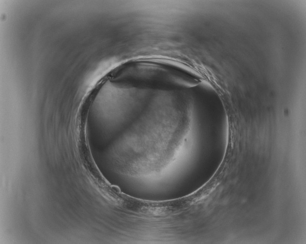 X0000087590295200705041516