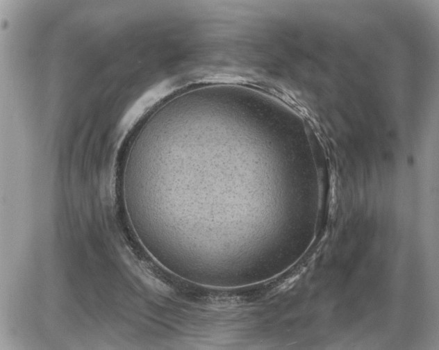 X0000087590296200705041516