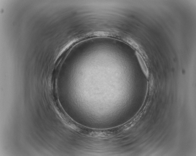 X0000087590297200705041516