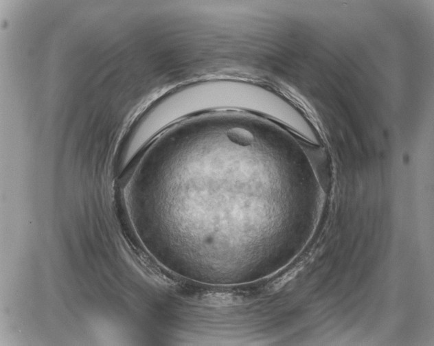 X0000087590298200705041516