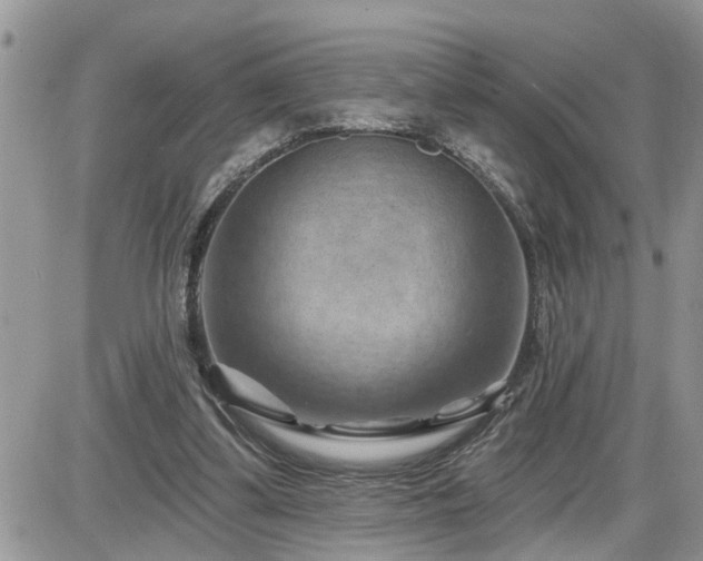 X0000087590299200705041516