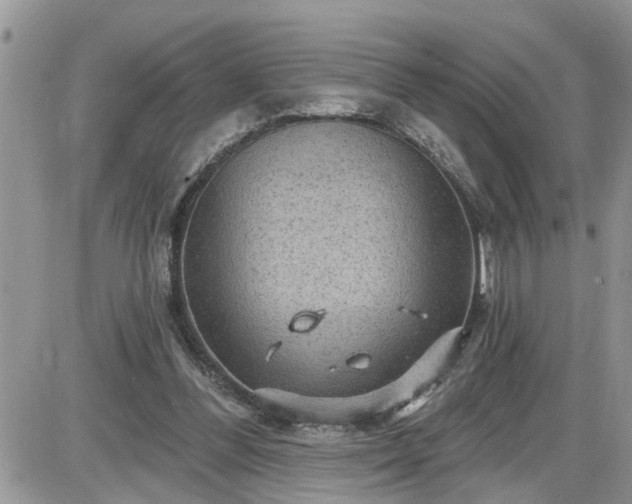 X0000087590300200705041516