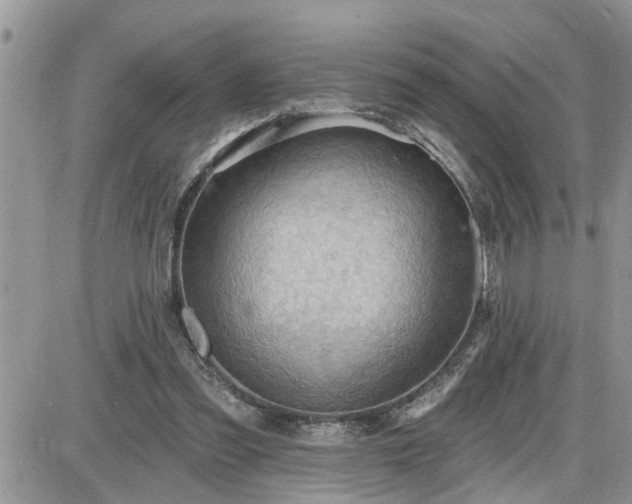 X0000087590301200705041516