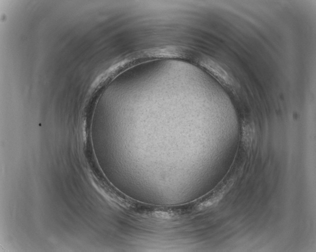 X0000087590302200705041516