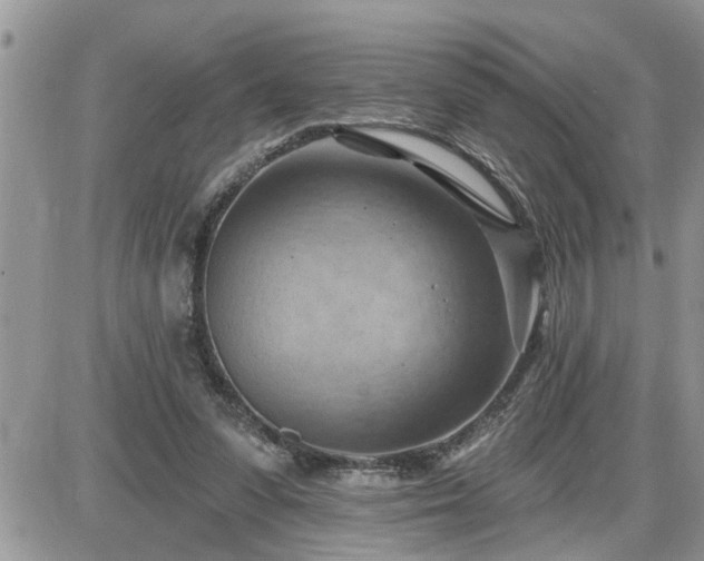 X0000087590303200705041516