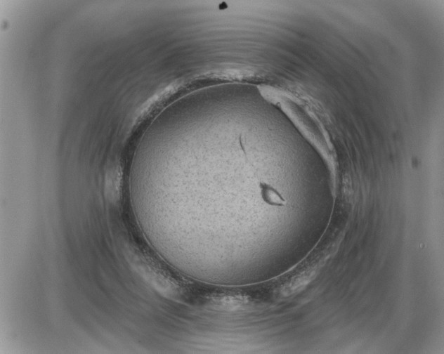 X0000087590304200705041516