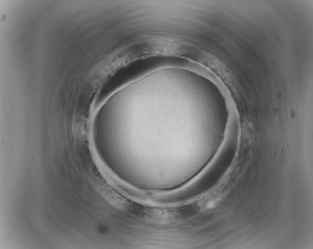 X0000087590305200705041516