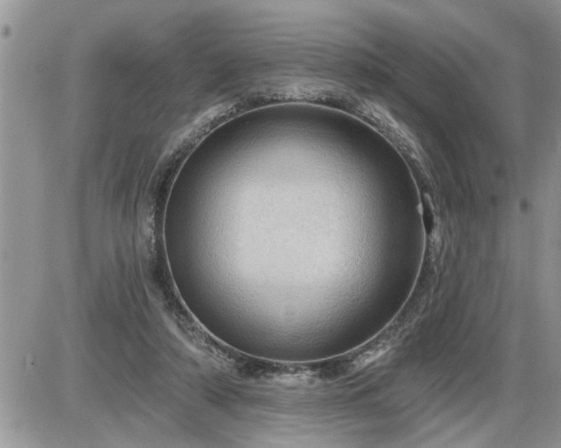 X0000087590306200705041516