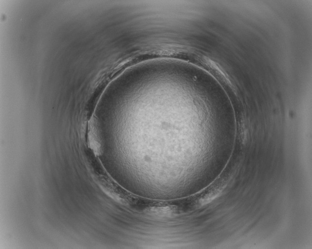 X0000087590307200705041516