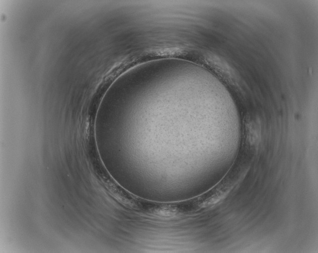 X0000087590308200705041515