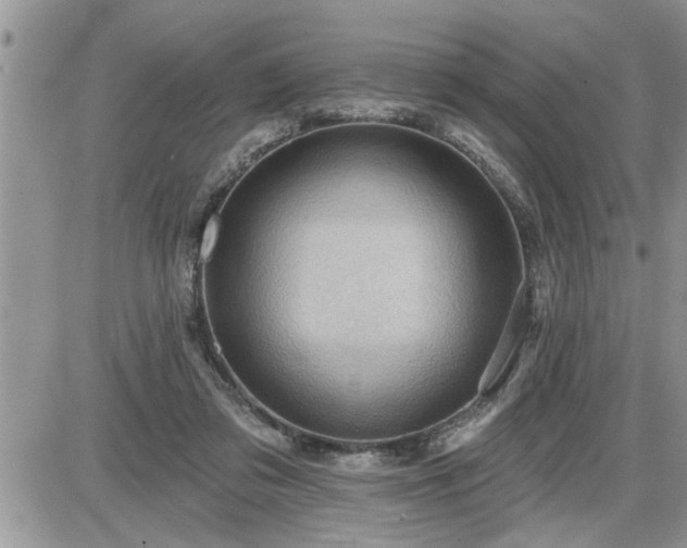 X0000087590309200705041515