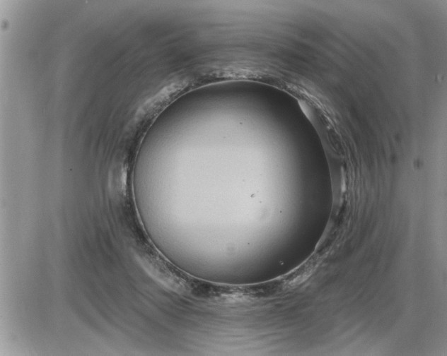 X0000087590310200705041515