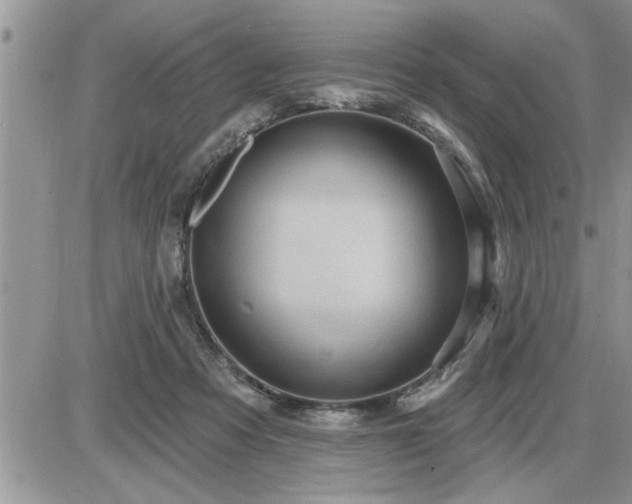 X0000087590313200705041515