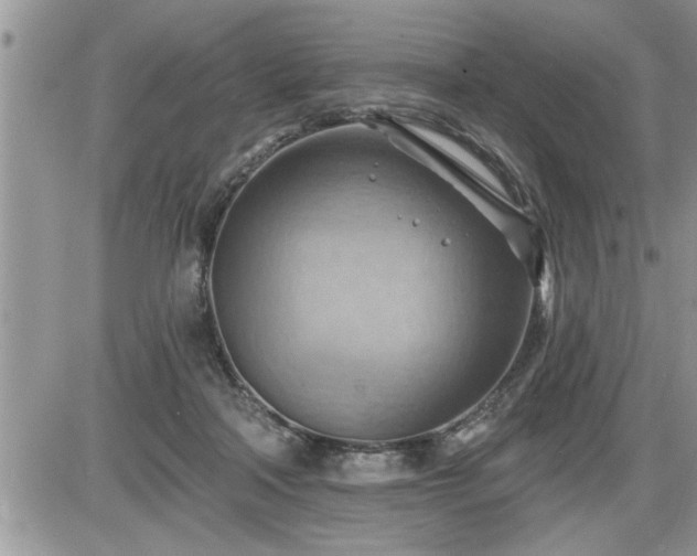 X0000087590314200705041515