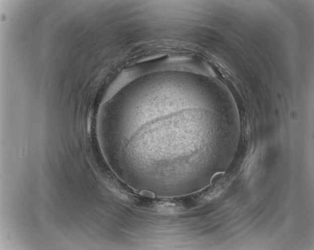 X0000087590315200705041515