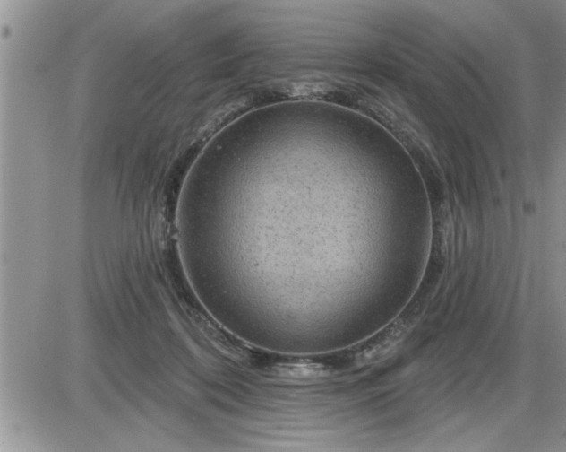 X0000087590316200705041515