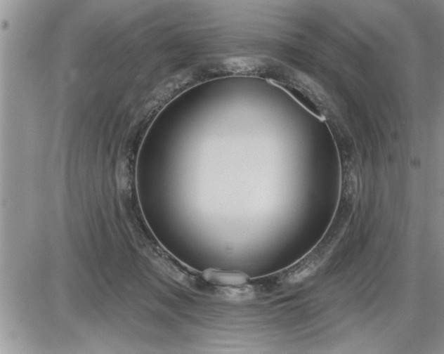 X0000087590317200705041515