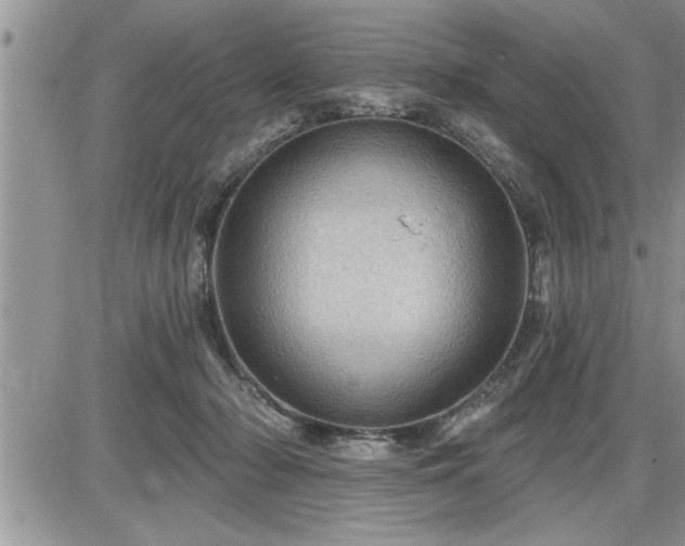 X0000087590318200705041515