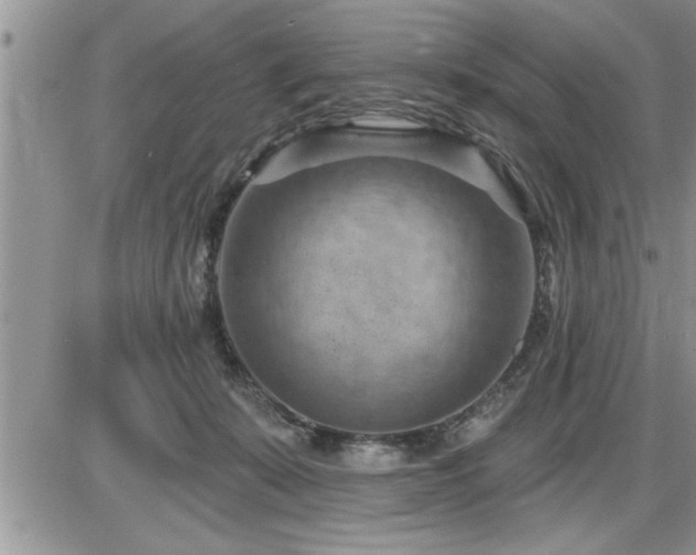 X0000087590319200705041515