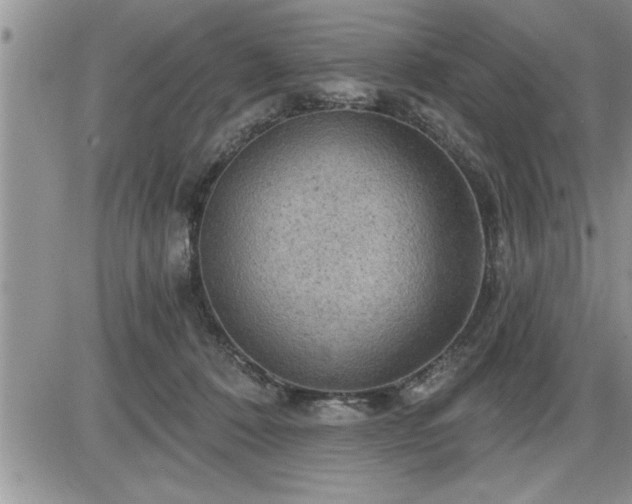 X0000087590320200705041515